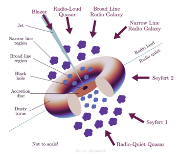 Taking a survey and analysing the X-Ray spectra of Dual AGNs