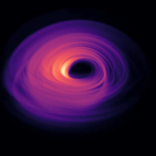 Polarisation signatures from Black Holes